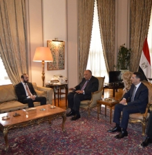 Главы МИД Армении и Египта обсудили двусторонние отношения и вопросы безопасности на Южном Кавказе