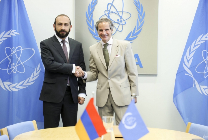 Глава МИД Армении встретился с гендиректором Международного агентства по атомной энергии