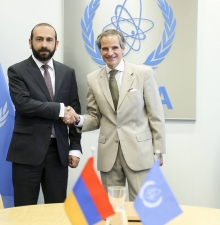 Глава МИД Армении встретился с гендиректором Международного агентства по атомной энергии