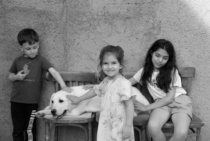 Нарине Карапетян: «наши питомцы в Арцахе помогали чувствовать себя нужными и любимыми».