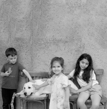 Нарине Карапетян: «наши питомцы в Арцахе помогали чувствовать себя нужными и любимыми».