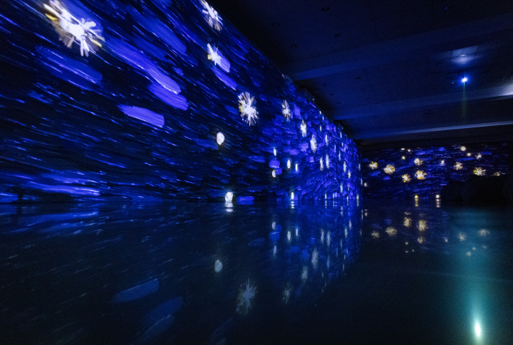 Ван Гог и Климт в Ереване