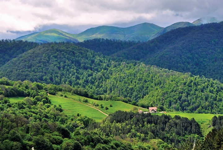 TAVUSH։ Your Next Destination