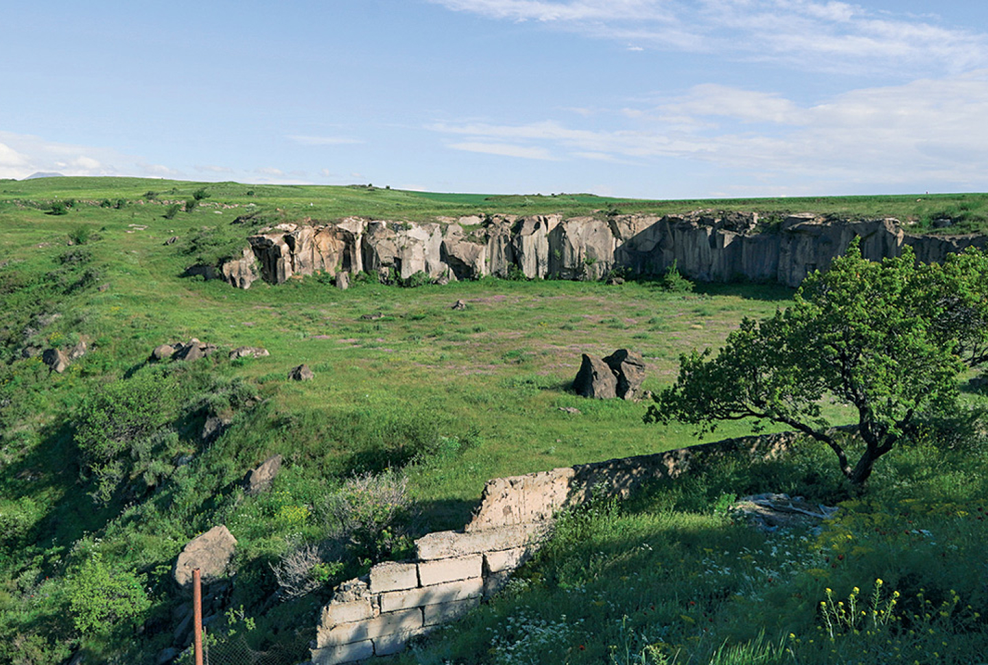 KOMO Real Estate Agency