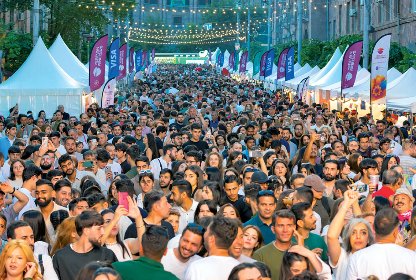 Ancient Grapes, Modern Solutions