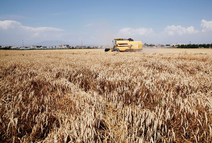 25 YEARS OF INDEPENDENCE: FROM FOREIGN AFFAIRS TO SPORTS